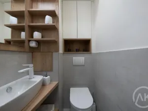 Pronájem bytu 1+kk, Opava - Předměstí, Haškova, 17 m2