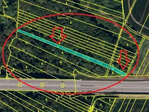 Prodej lesa, Velká Polom, 1538 m2