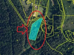 Prodej lesa, Strážiště, 2266 m2