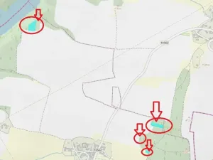 Prodej lesa, Chrášťany, 11900 m2