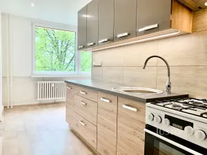 Pronájem bytu 2+1, Ústí nad Labem, Ladova, 61 m2