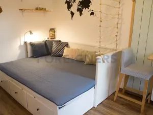 Pronájem bytu 1+kk, Praha - Žižkov, Na chmelnici, 26 m2
