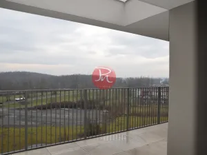 Pronájem bytu 3+kk, Ostrava, F. X. Riepla, 83 m2