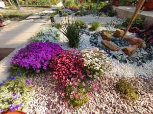 Prodej bytu 2+1, Kamenický Šenov, Palackého, 75 m2