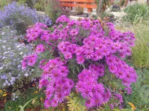 Prodej bytu 2+1, Kamenický Šenov, Palackého, 75 m2