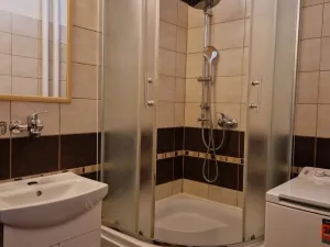 Pronájem bytu 2+1, Stříbro, Gagarinova, 48 m2