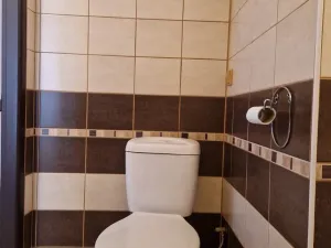 Pronájem bytu 2+1, Stříbro, Gagarinova, 48 m2