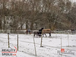 Prodej - jiné, Nučice, 2093 m2