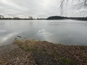 Prodej rybníku, Kamenice nad Lipou - Vodná, 138387 m2