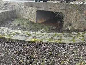 Prodej rybníku, Častrov, Častrov, 48638 m2