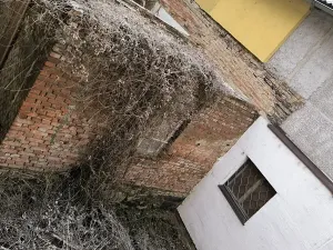 Prodej vícegeneračního domu, Děčín, Litoměřická, 250 m2