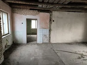 Prodej vícegeneračního domu, Děčín, Litoměřická, 250 m2