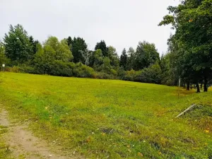 Prodej louky, Herálec, 35197 m2