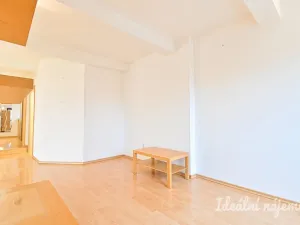 Pronájem bytu 2+kk, Brno, Burešova, 47 m2