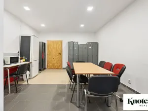 Prodej skladu, Račice-Pístovice, 479 m2