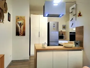 Prodej bytu 1+kk, Hustopeče, Mrštíkova, 50 m2