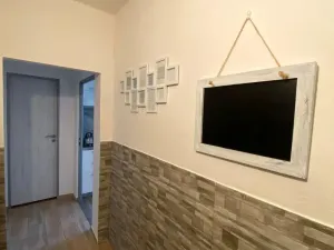 Pronájem bytu 2+1, Olomouc - Klášterní Hradisko, Černá cesta, 56 m2