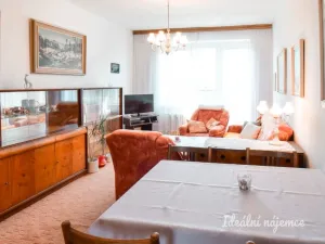 Pronájem bytu 2+1, Brno - Staré Brno, Křídlovická, 53 m2