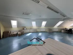 Pronájem kanceláře, Hulín, Vrchlického, 300 m2