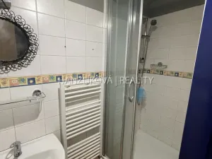 Pronájem bytu 1+1, České Budějovice - České Budějovice 1, Krajinská, 41 m2