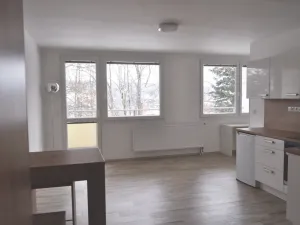 Pronájem bytu 1+kk, Praha - Motol, Hennerova, 48 m2