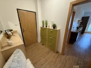 Pronájem bytu 3+1, Olomouc, Kmochova, 74 m2