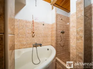 Prodej ubytování, Neratovice, Hlavní, 620 m2