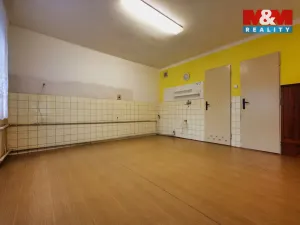 Prodej rodinného domu, Dzbel, 195 m2