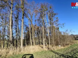 Prodej pole, Rožnov pod Radhoštěm, 7427 m2