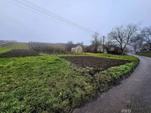 Prodej pozemku pro bydlení, Čejč, 1561 m2