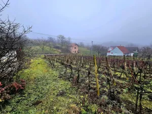 Prodej pozemku pro bydlení, Čejč, 1561 m2