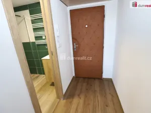 Pronájem bytu 1+1, Cheb, Americká, 36 m2