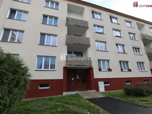 Pronájem bytu 1+1, Cheb, Americká, 36 m2