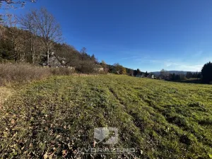 Prodej louky, Lučany nad Nisou, 2462 m2