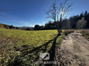 Prodej louky, Lučany nad Nisou, 2462 m2