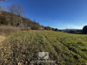 Prodej louky, Lučany nad Nisou, 2462 m2