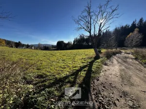 Prodej pole, Lučany nad Nisou, 2462 m2