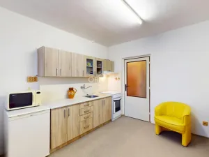 Prodej vícegeneračního domu, Chomutov, Václavská, 156 m2