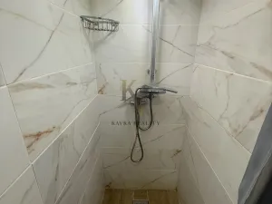 Pronájem bytu 1+1, Orlová, Lesní, 38 m2