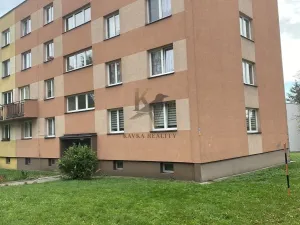 Pronájem bytu 1+1, Orlová, Lesní, 38 m2