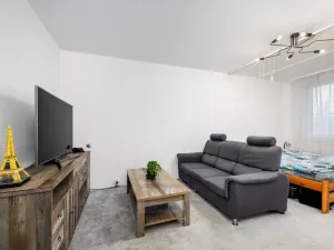 Prodej bytu 2+1, České Budějovice - České Budějovice 3, U Trojice, 63 m2