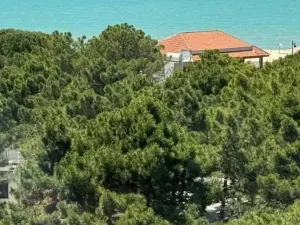 Prodej ubytování, Golem, 3371 m2