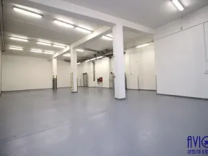 Pronájem skladu, Praha - Strašnice, U trati, 263 m2