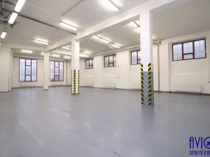 Pronájem skladu, Praha - Strašnice, U trati, 263 m2