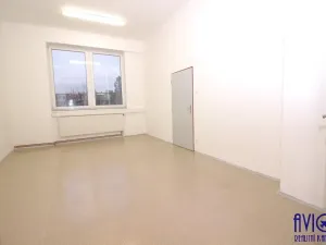 Pronájem skladu, Praha - Strašnice, U trati, 263 m2