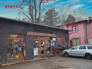 Prodej obchodního prostoru, Frýdek-Místek, Třebízského, 180 m2