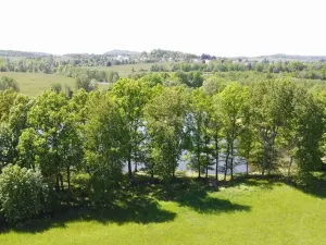 Prodej pole, Šluknov, 1989 m2