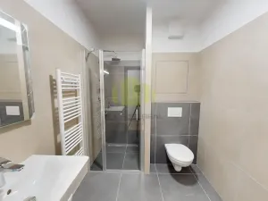 Pronájem bytu 1+kk, Olomouc, Janského, 36 m2