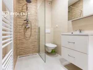 Pronájem bytu 2+1, Ústí nad Labem, Zeyerova, 54 m2
