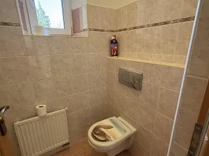 Pronájem rodinného domu, Ostrava, Křížkovského, 300 m2